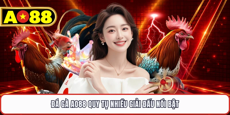 Đá gà AO88 quy tụ nhiều giải đấu nổi bật