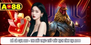 Đá Gà Cựa Dao - Thi Đấu Trực Tiếp Đầy Kịch Tính Tại AO88