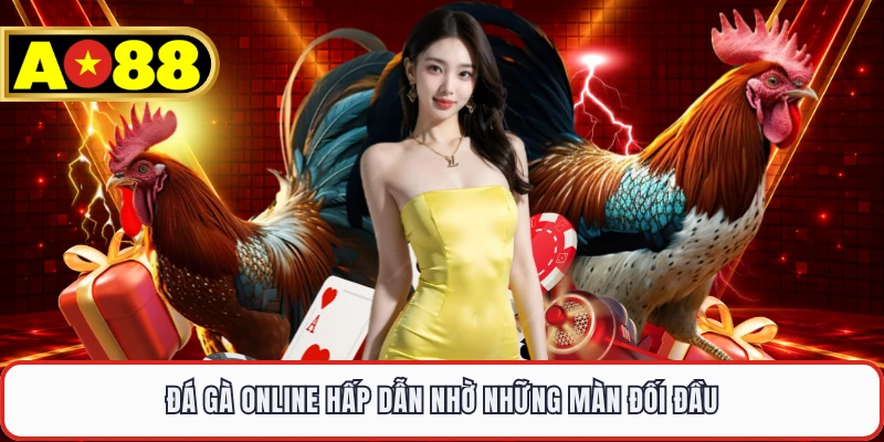 Đá gà online hấp dẫn nhờ những màn đối đầu