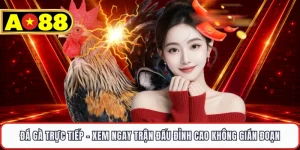 Đá Gà Trực Tiếp - Xem Ngay Trận Đấu Đỉnh Cao Không Gián Đoạn