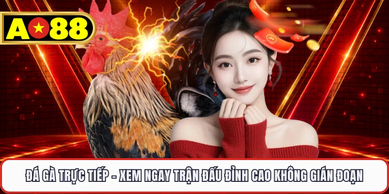 Đá Gà Trực Tiếp - Xem Ngay Trận Đấu Đỉnh Cao Không Gián Đoạn