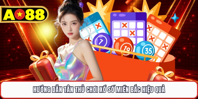 Hướng dẫn tân thủ chơi xổ số miền Bắc hiệu quả