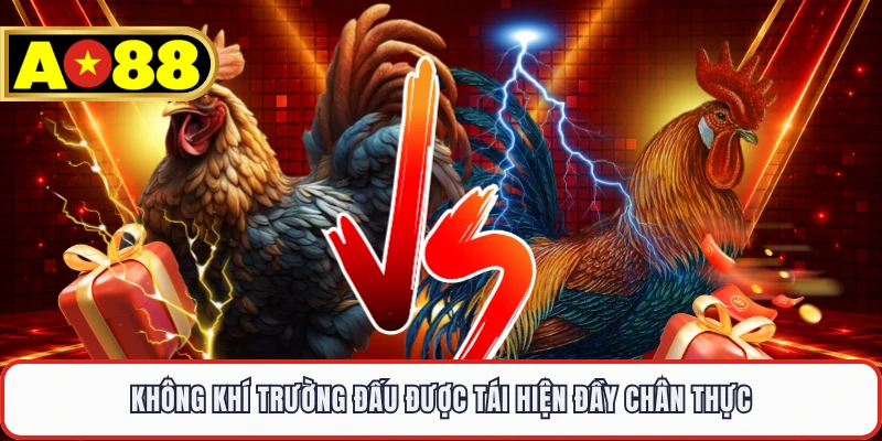 Không khí trường đấu được tái hiện đầy chân thực
