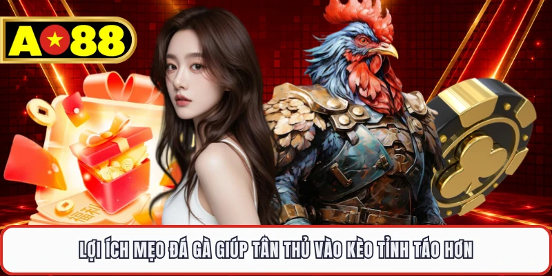 Lợi ích mẹo đá gà giúp tân thủ vào kèo tỉnh táo hơn 