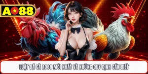 Luật Đá Gà AO88 Mới Nhất Và Những Quy Định Cần Biết