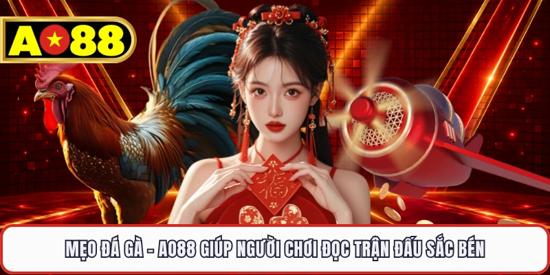 Mẹo Đá Gà - AO88 Giúp Người Chơi Đọc Trận Đấu Sắc Bén