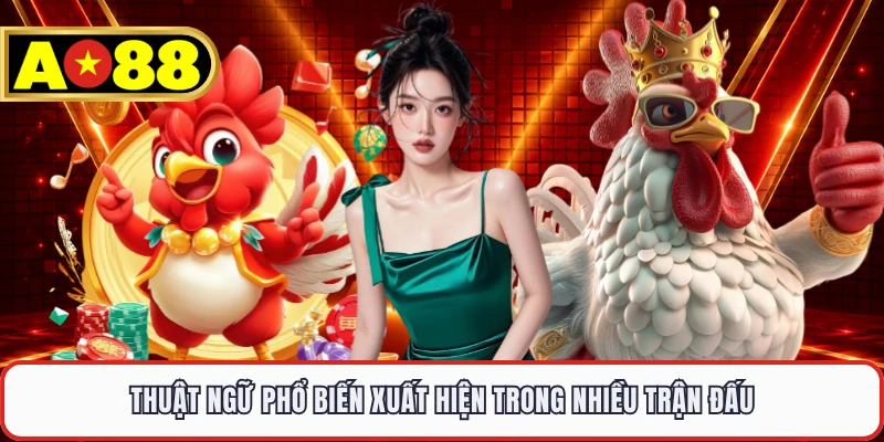 Thuật ngữ phổ biến xuất hiện trong nhiều trận đấu